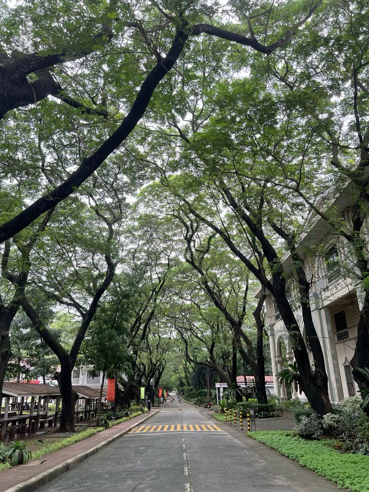 DLSU-D Campus